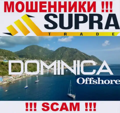 Организация Supra Trade сливает вклады лохов, зарегистрировавшись в оффшорной зоне - Dominica