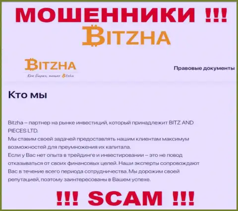 Bitzha - это циничные интернет мошенники, тип деятельности которых - Инвестиции