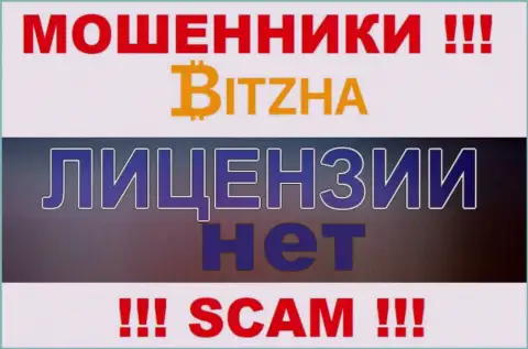 Мошенникам Bitzha24 Com не дали лицензию на осуществление их деятельности - отжимают денежные вложения