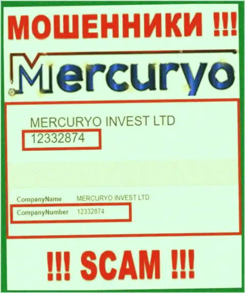Регистрационный номер противозаконно действующей компании Mercuryo - 12332874