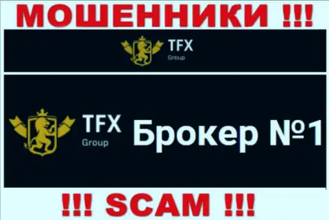 Не нужно доверять вклады TFX FINANCE GROUP LTD, т.к. их область работы, Форекс, капкан