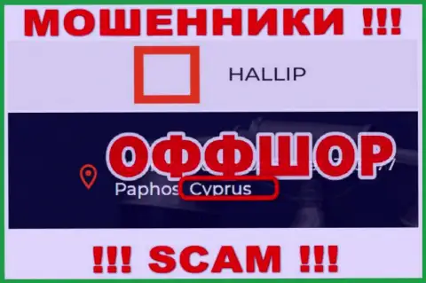 Разводняк Hallip Com зарегистрирован на территории - Cyprus