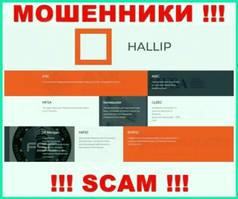 У организации Hallip Com есть лицензионный документ от дырявого регулятора - CySEC