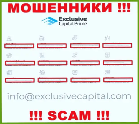 На электронный адрес, приведенный на сайте мошенников Exclusive Capital, писать очень рискованно - это АФЕРИСТЫ !