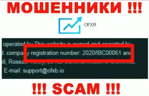 Регистрационный номер, который принадлежит конторе OFXB Io - 2020/IBC00061
