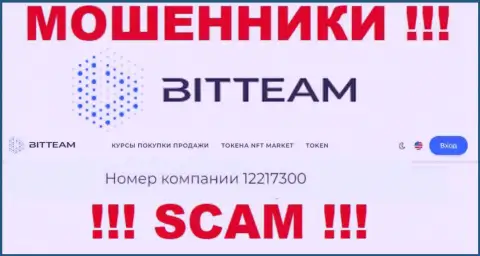 Номер регистрации, который присвоен организации BitTeam - 12217300