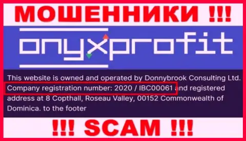 Номер регистрации, который принадлежит компании Оникс Профит - 2020 / IBC00061