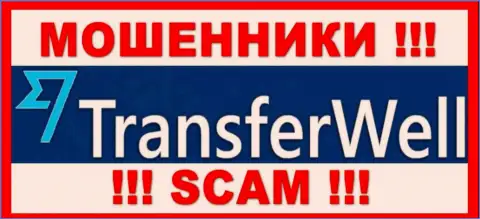 TransferWell - это МАХИНАТОРЫ !!! Денежные вложения не возвращают обратно !!!