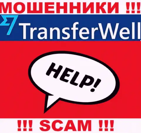 Если вдруг Вас оставили без денег в организации TransferWell Net, то не сдавайтесь - сражайтесь