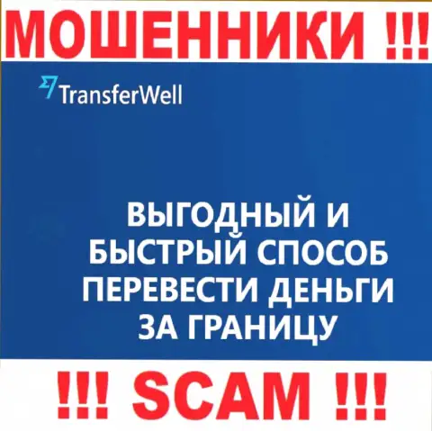 Не стоит верить, что деятельность Transfer Well в области Платежная система легальна