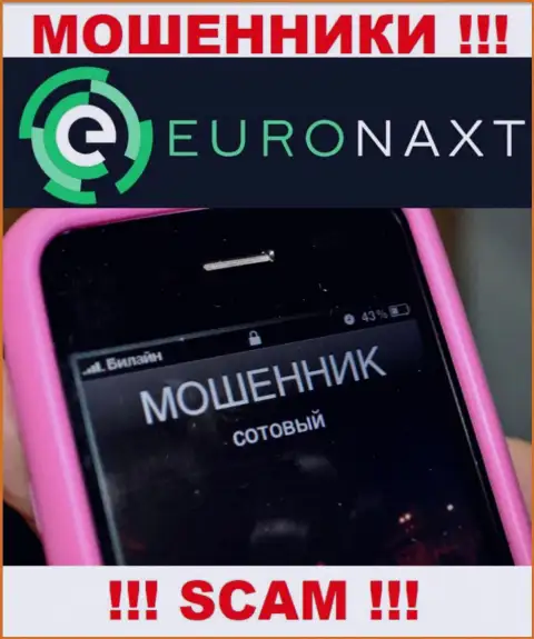 Вас хотят развести на деньги, EuroNaxt Com подыскивают очередных жертв