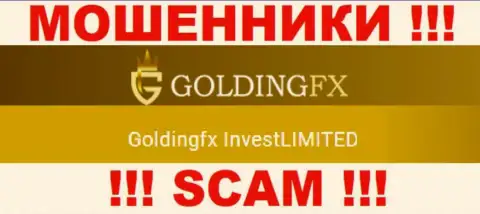 ГолдингФХИкс Инвест Лтд владеющее организацией Goldingfx InvestLIMITED