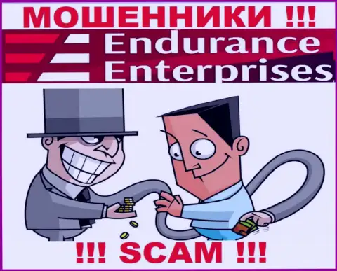 Доход с дилинговой организацией Endurance Enterprises Вы не получите - не рекомендуем заводить дополнительно финансовые средства