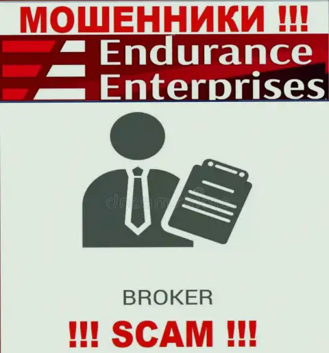 Endurance Enterprises не вызывает доверия, Брокер - это то, чем промышляют эти internet мошенники