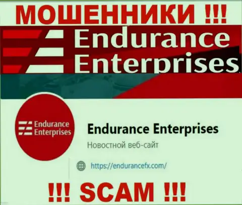 Связаться с internet-мошенниками из конторы EnduranceFX Com Вы сможете, если отправите сообщение им на e-mail