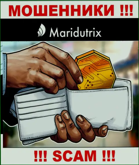 Криптовалютный кошелек - конкретно в этой области промышляют профессиональные махинаторы Maridutrix