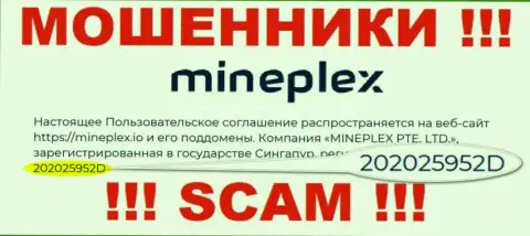 Номер регистрации еще одной преступно действующей конторы MinePlex - 202025952D