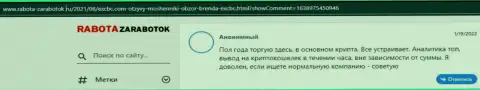 Ещё один валютный трейдер делится своей точкой зрения об ФОРЕКС компании EXCBC на web-ресурсе rabota-zarabotok ru