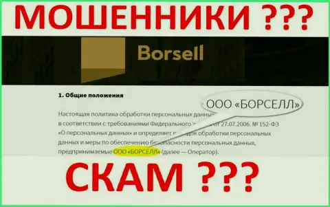 Borsell LLC - организация, управляющая internet-махинаторами Borsell Ru