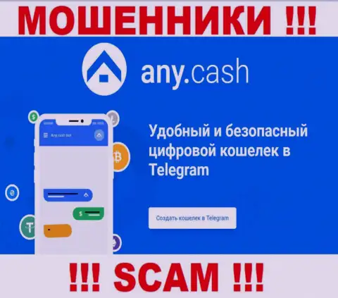 AnyCash - это обманщики, их работа - Цифровой кошелёк, направлена на воровство денег клиентов