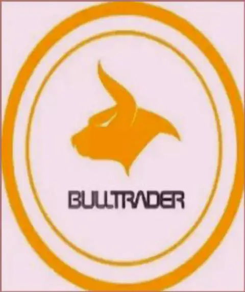 БуллТрейдерс - форекс компания, которая обещает своим игрокам самые маленькие финансовые проблемы во время торгов на международном финансовом рынке Forex